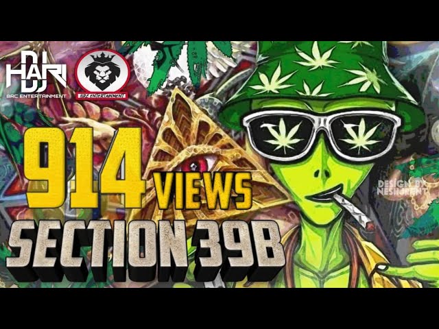 DJ Hari - Section 39B | (Official Audio Remix) class=