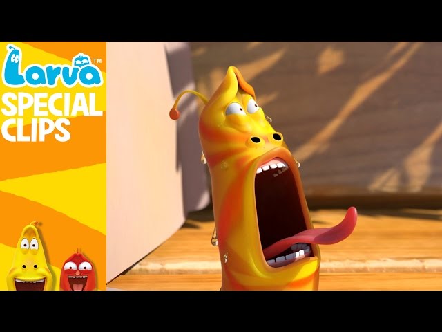 Official] Gulp Gulp - 1 MIN - Fun Clips from Animation LARVA 