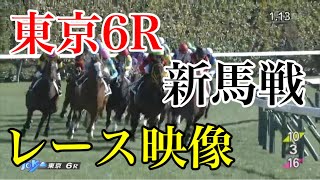 1/29 東京6R 新馬戦 レース映像