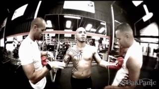 Miguel Cotto - HighLIGHTS