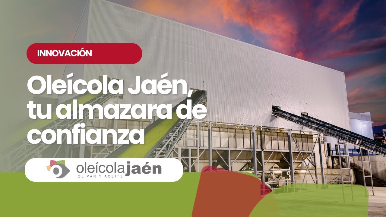 ¡Entrega Tu Aceituna en Oleícola Jaén! 7 Puntos de Recogida en la Provincia de Jaén