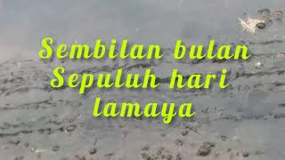 Kata kata bijak berbakti kepada ORANG TUA  / BAPAK dan IBU