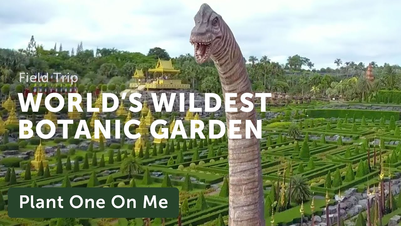 Nong Nooch The Worlds Wildest Botanic Garden Plant One On Me Ep 144 - Youtube