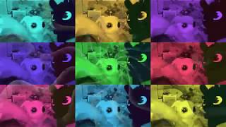 КЛИП - ГРИБЫ - МЕЖДУ НАМИ ТАЕТ ЛЁД - "Funny Toys" КЛИП - ГРИБЫ - МЕЖДУ НАМИ ТАЕТ ЛЁД - "Funny Toys"