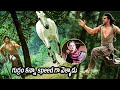 Hrithik Roshan Defeated The Horse Riding Scene Krrish Telugu Movie Scenes HITMOVIES630