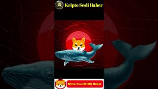 Kripto Sesli Haber Shiba Inu Balinaları Aktif Resimi