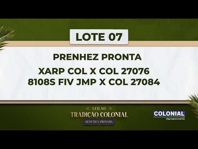 LOTE 07   COL 27076  E COL 27084