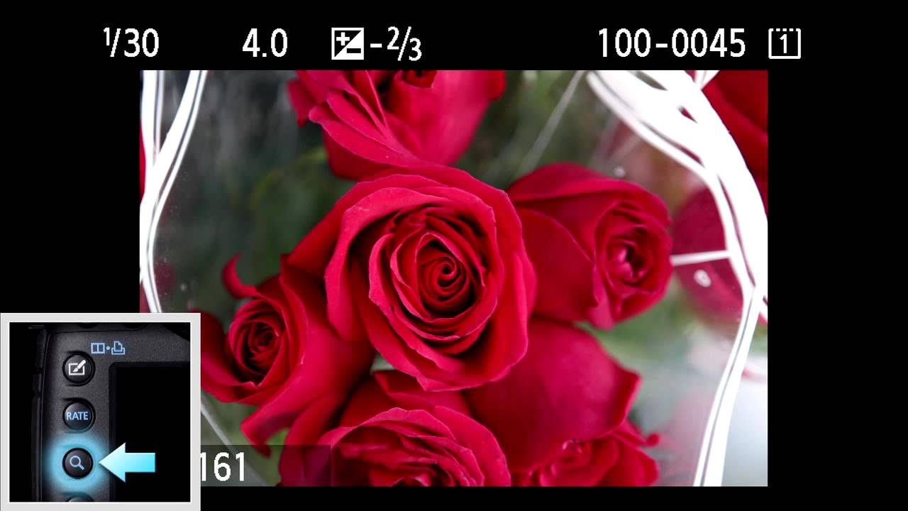 Canon EOS 5D Mark III - Tutorial Playback and Magnifying Image 14/14 ...