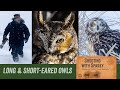 Adventures with Long eared & Short eared Owls January 2022 Minnesota—Shooting with Sparky
