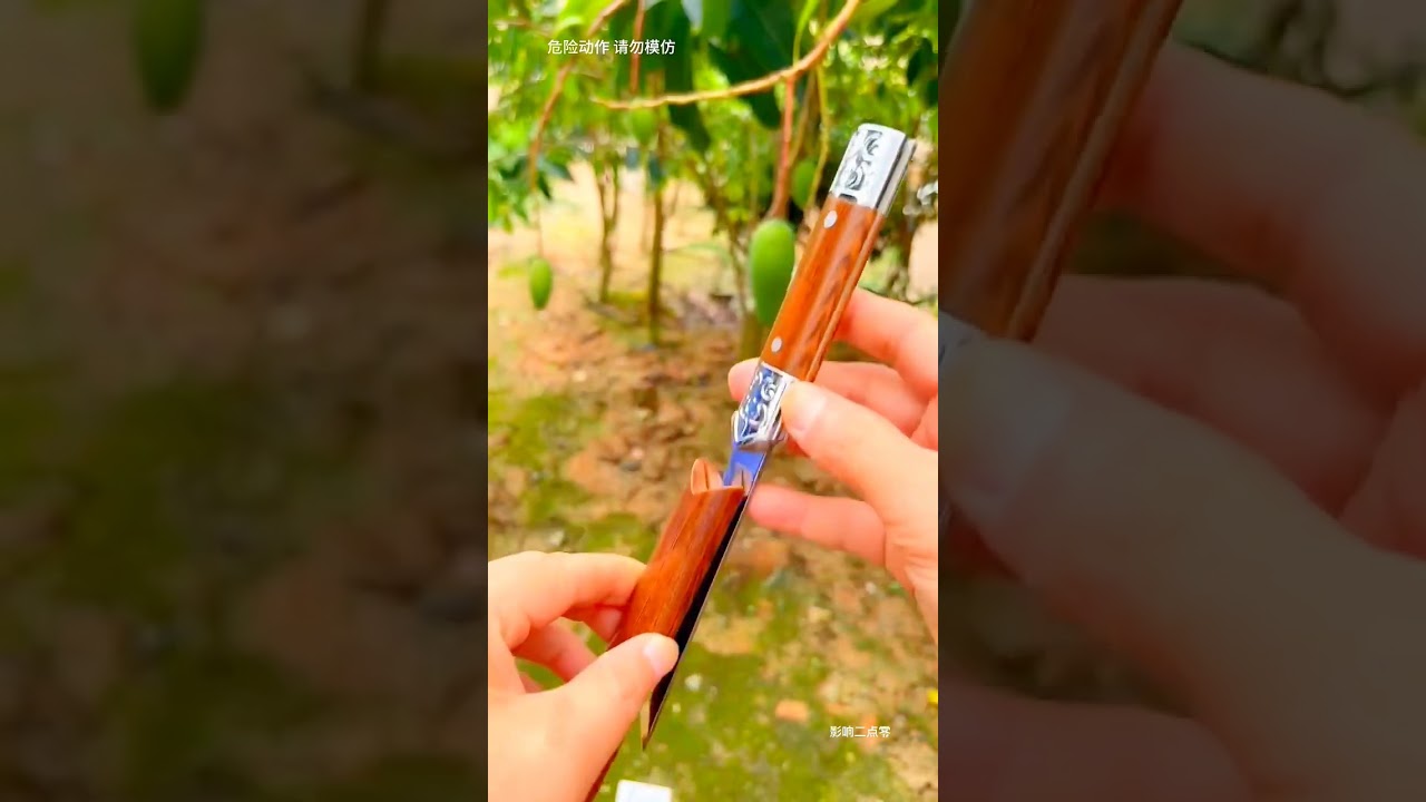 Paring Knife 