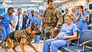 Details Hospital Director Mocked a Quiet Nurse—Then a Navy SEAL's K9 Exposed the Truth That Ended His Career Guide