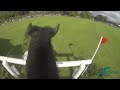 Elite Eventing | Land Rover Burghley HT 2013 Cross Country Day with Ludvig SvennerStal
