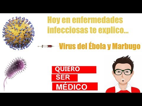 Vídeo: Virus De Marburgo Y Fiebre Del Ébola - Vista Alternativa