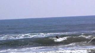 2011-04-01千葉一宮サーフィン波情報
