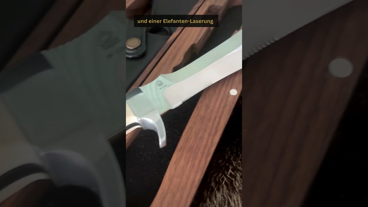 PUMA white hunter, Elefant