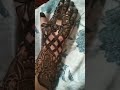Heena artist