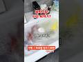 👻프로필참고➡️ 135번 👉구입  #세탁기추천 #쿠팡템 #식기세척기 #빨래 #세탁 #쿠팡템리뷰 #세탁꿀팁 #청소꿀팁 #꿀템