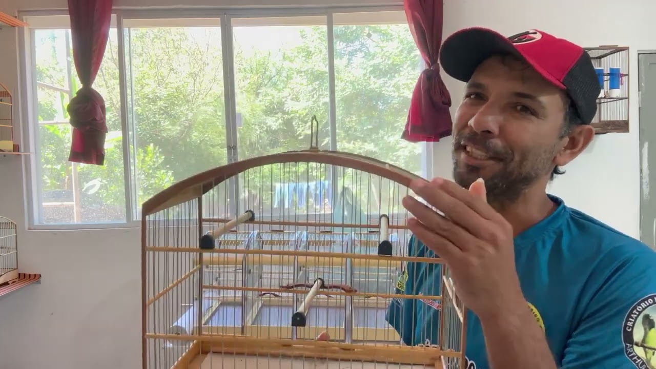 Vamos se  aperfeiçoar nas gaiolas.