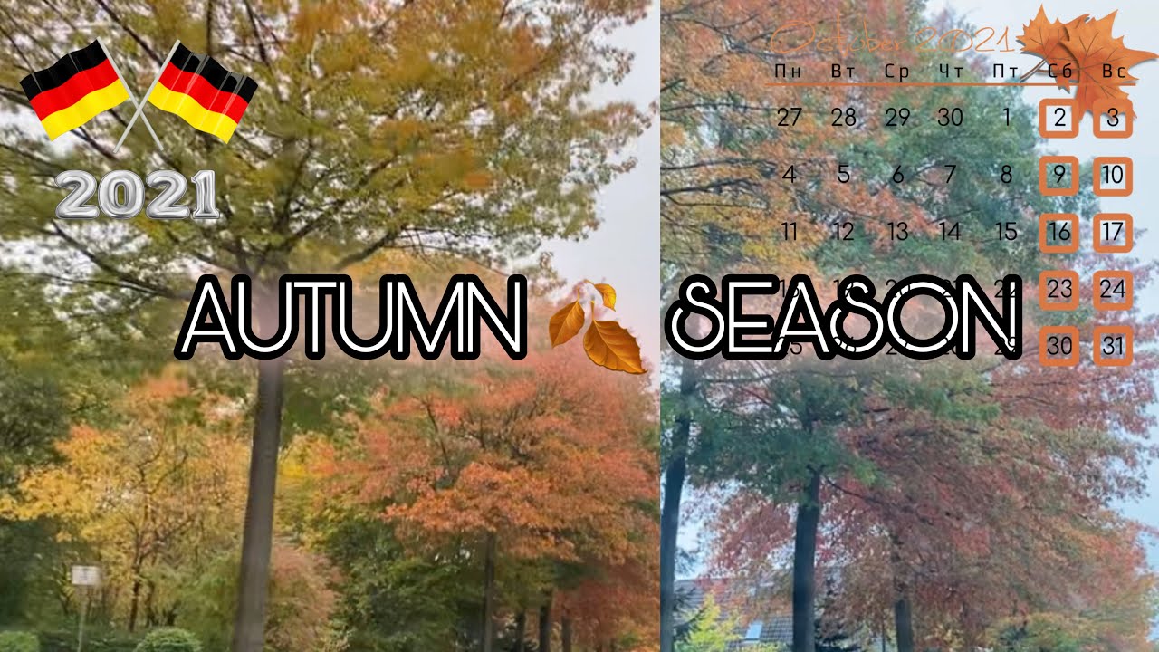 Autumn 🍂 Season | Germany 🇩🇪 2021| MsAir 