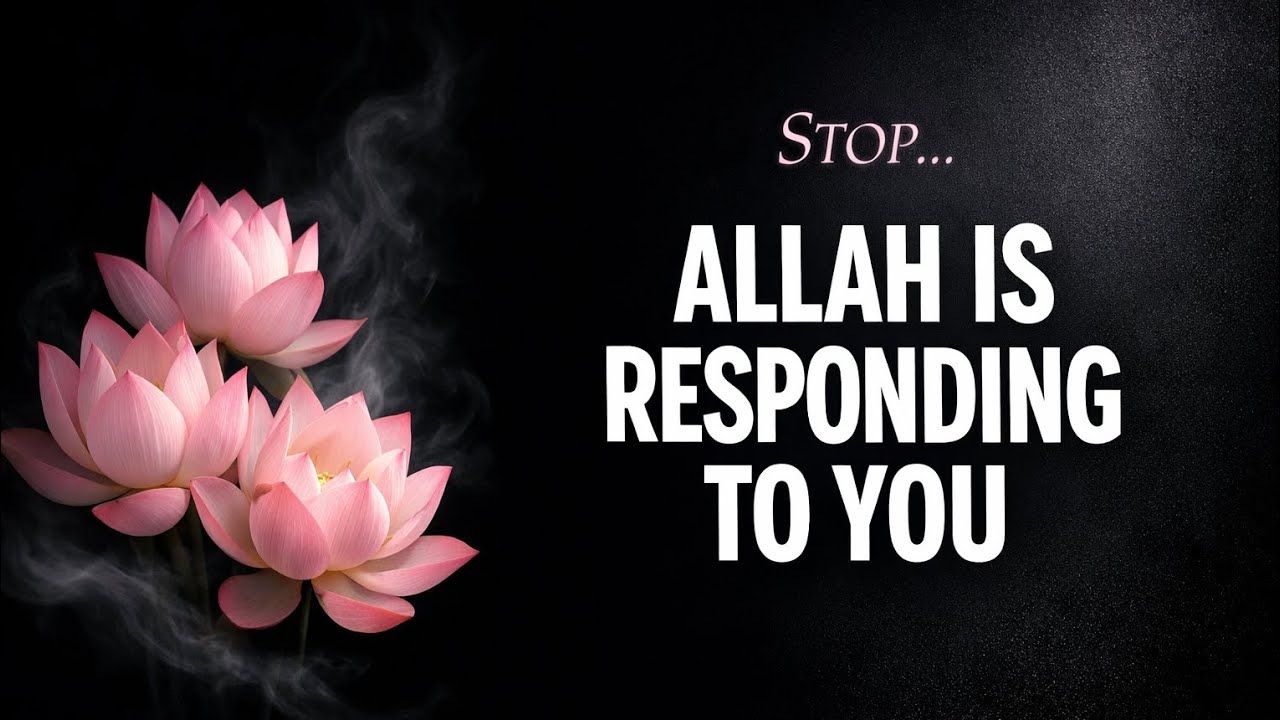 Stop… Allah Is Responding To You ✨ 