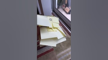 Super cool petting zoo