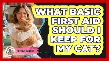 What Basic First Aid Should I Keep For My Cat?