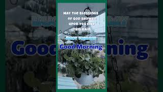 #Good morning message of inspirational and motivational quote short video message of rainy day #Good morning message of inspirational and motivational quote short video message of rainy day