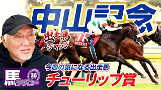 第54回有馬記念 ドリームジャーニー 全出走馬16頭 現地馬券 単勝馬券セット 中山記念】出走馬ジャッジ - YouTube