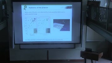 Peter Lodahl: Quantum Optics in One-Dimensional Directional Photonic Reservoirs
