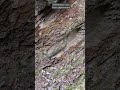 Une montagne de pierres sédimentaires, en milles-feuilles #rockhounders #nature #satisfying #mineral