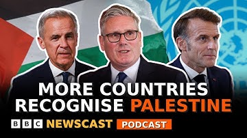 What does recognition of a Palestinian state actually mean? | BBC Newscast