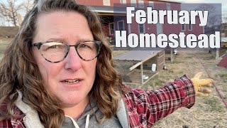 Missouri Homestead : One Year on Our Farm : February by Lorella - Plan Bee Orchard and Farm 819 views 1 year ago 14 minutes, 2 seconds