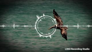 Cistrolat - Genesis [1 HOUR VERSION]