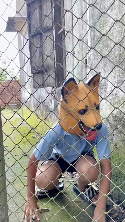 Njan nuoi chu chu tai nang -Adopt a talented dog
