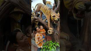 jungle ke Raja jaldi aaja🦁 #youtubeshorts#viral#lions #tiger #jungle#jungle #shortvideo #jaimatadi