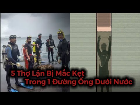 Video: 5 Chuyến tham quan lặn với ống thở tốt nhất ở Maui năm 2022