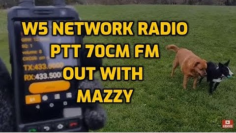 W5 Network Radio PTT 70cm - Simplex
