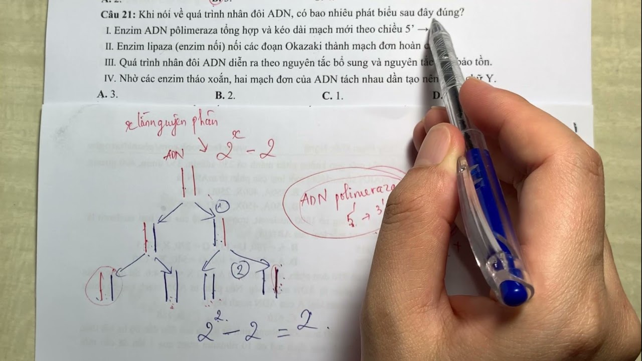 Gen, mã di truyền và quá trình nhân đôi ADN phần 2