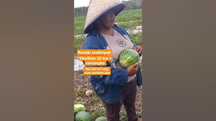 rezeki ibu tani panen semangka 20 ton +