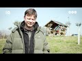 Europeo – Meglepő helyen teremhet a jövő olívaolaja
