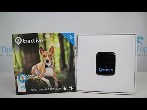 tractive reviews