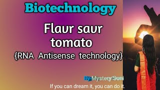 Flavr savr tomato | genetically modified plant | RNA Antisense technology | easy explanation