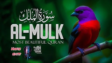 Surah Al-Mulk (سورة الملك) | Blessings for | Quran Healing | Peace Holy peace