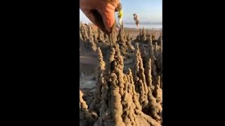 Talented Artist Builds A Beautiful Drip Sandcastle At The Beach