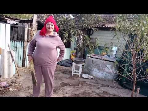 Ходила за дровами продолжаем уборку