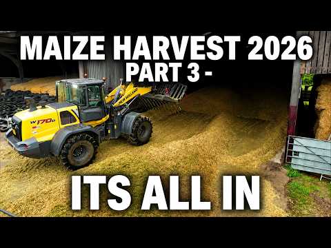 MAIZE HARVEST 2026 PART 3 - ITS ALL IN
