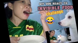 MY DOG REACT TO THE INVISIBLE FOOD CHALLENGE