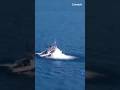 BDL has delivered the 1st indigenous heavyweight torpedo to NSTL #shorts #defencenews #f35
