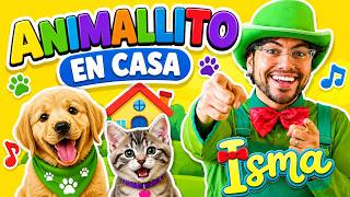 Animalito En Casa Aprende Y Canta Con Isma