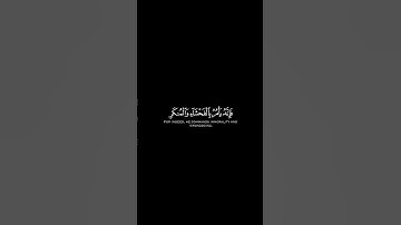 اكتب شيء تؤجر عليه 😊🤍القرآن الكريم شاشة سوداء